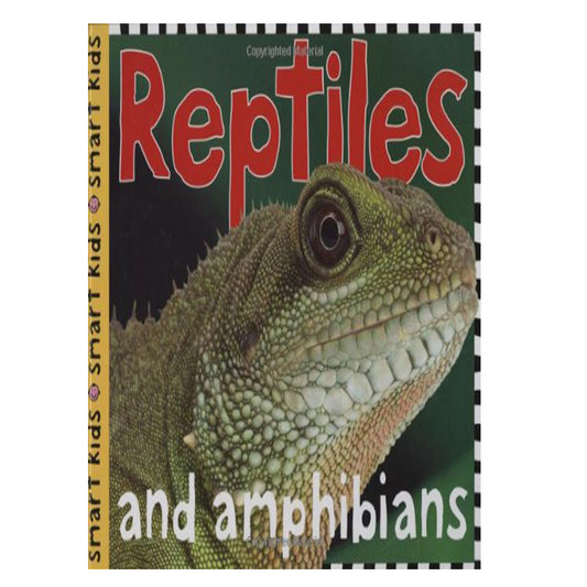 Reptiles toys