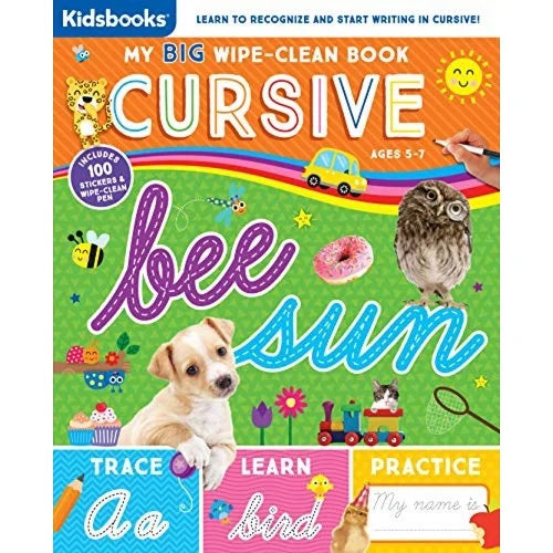 cursive my big wipe clean book