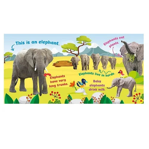 safari first animal facts 5 button soundboard 4