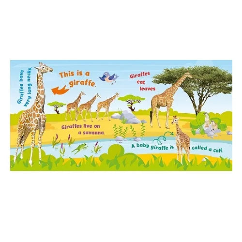 safari first animal facts 5 button soundboard 5