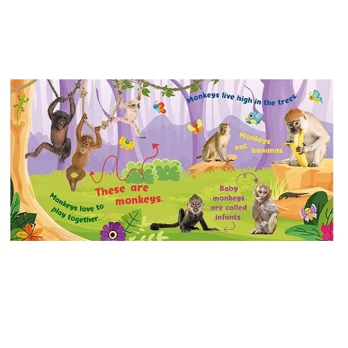 safari first animal facts 5 button soundboard 6