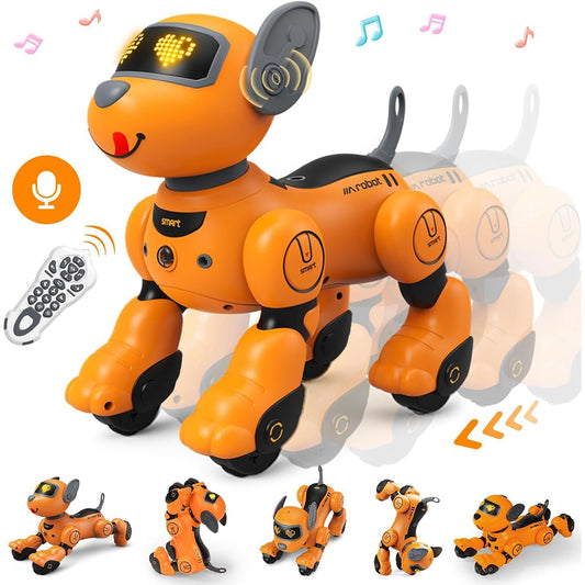 toys store uae