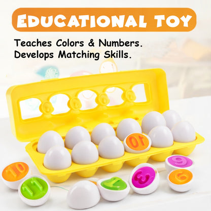 بيض متطابق - 12 قطعة