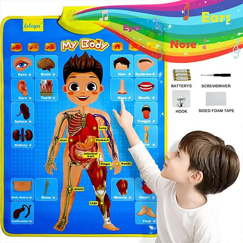 talking poster my body 2